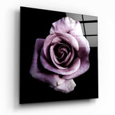Purple Rose Glass Wall Art.